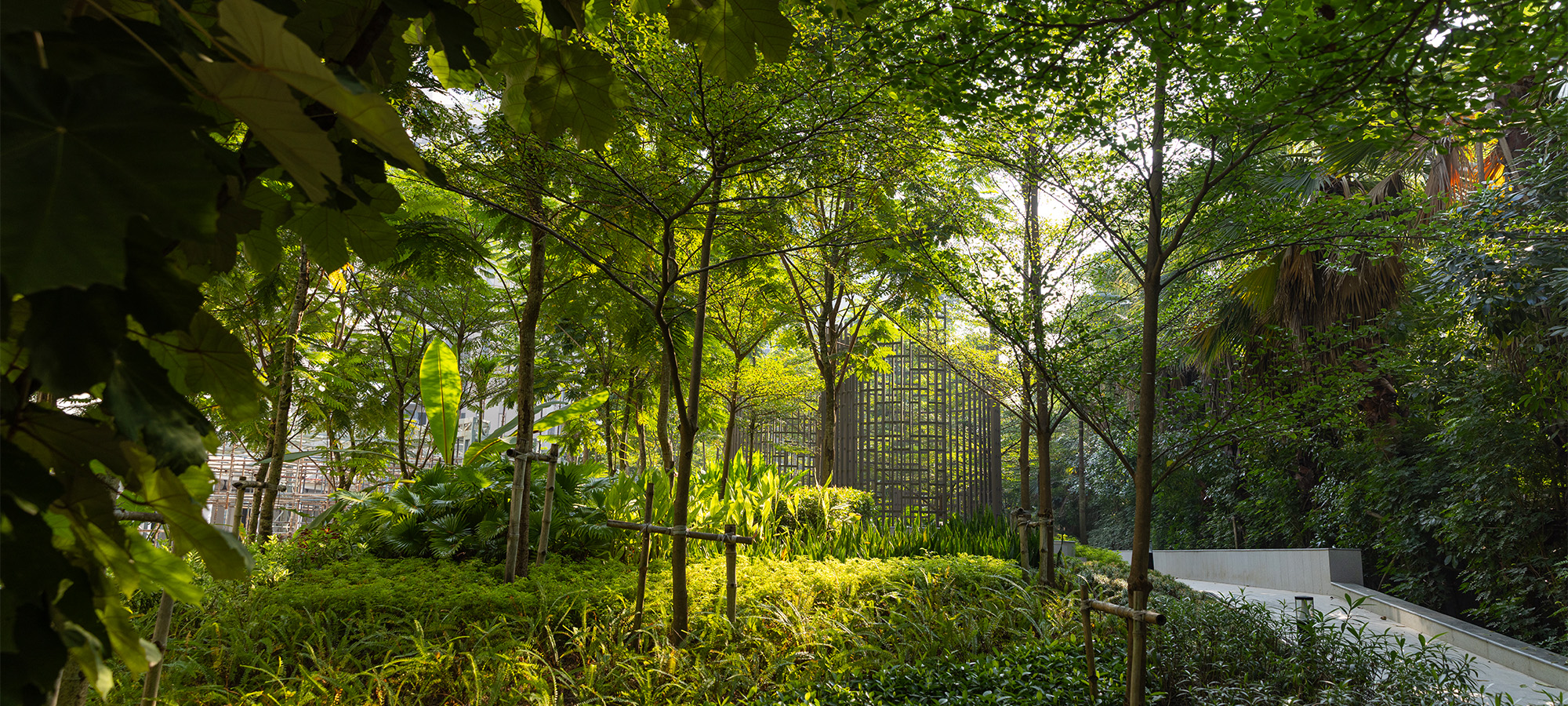 Forest Trail & Jungle Cabana